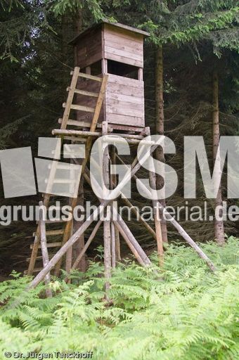 Hochstände (106 von 154).jpg